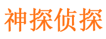 鱼台市调查公司